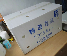 水果包装箱-弘特包装科技公司-忻州包装箱