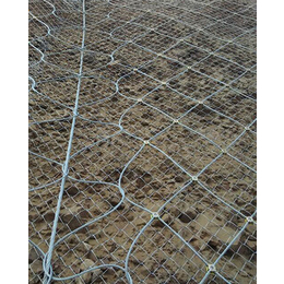 黑龙江边坡防护网,防护网,斜坡防护网