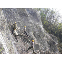 山体防护网|防护网|钢丝绳边坡防护网