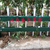 现货供应临汾小区别墅草坪护栏 PVC塑钢栅栏 绿化带围栏缩略图1