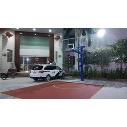 辉跃体育设施有限公司(图),上高县篮球架,篮球架
