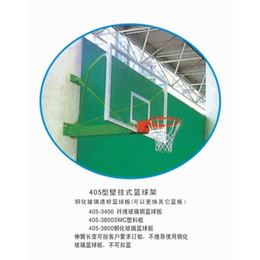 金成体育,安全室外儿童篮球架销售厂家,安乡县儿童篮球架
