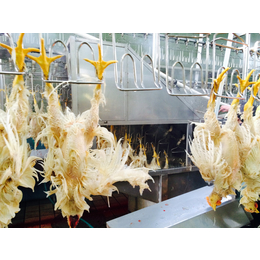 山东省家禽屠宰设备生产销售 外贸出口厂家 福瑞达机械