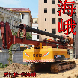 小型工地桩旋挖机,芦淞区旋挖机,广东海峨(查看)
