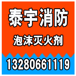 揭阳泡沫罐,广东泡沫罐价格,泰宇消防(****商家)