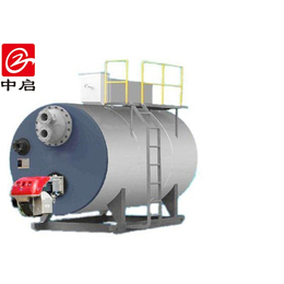 蒸汽锅炉标准、中启热能设备(在线咨询)、规格蒸汽锅炉