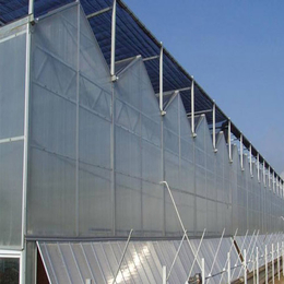 新日光伏科技就是棒(图)_玻璃温室大棚设计_乌海玻璃温室大棚