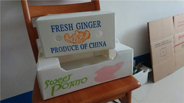 蔬菜包装箱哪家好-潍坊市弘特包装-无锡包装箱