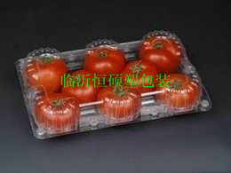 水果餐盒加盟-恒硕吸塑包装-水果餐盒
