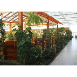 生态温室餐厅造价、阳泉温室餐厅、青州鑫华生态农业(图)