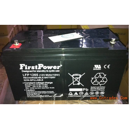 一电FP12380 UPS电源*12V38AH铅酸蓄电池