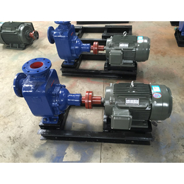 ZW50-20自吸排污泵-铜陵自吸泵-高吸程自吸泵流量