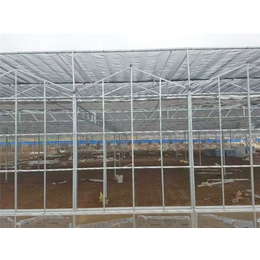 智能玻璃温室-青州瀚洋农业(在线咨询)-玻璃温室