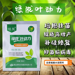 绿陇叶动力 培根壮苗提质高增产 补硅*抑菌*病毒