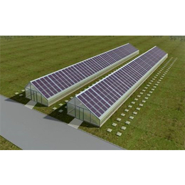 齐鑫温室园艺(图)、太阳能温室蔬菜种植、太阳能温室