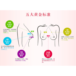 厂家* *院胸部套 疏通*胸部护理养生套OEM加工