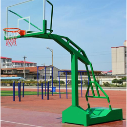 体育局用电动液压篮球架,南京液压篮球架,冀中体育公司(图)