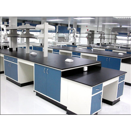 实验室*实验台厂家,周固包装制品,肇庆实验台家具厂家