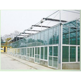 玻璃温室工程|辽宁玻璃温室|青州鑫和温室园艺公司(查看)