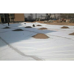 喀什地区路基土工格栅20塑料双向路基土工格栅_四方格工程材料