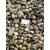 鹅卵石 天然鹅卵石批发 天然鹅卵石产地 天然鹅卵石图片缩略图2