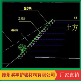 供应 厂家*2019新品滨丰环保生态袋生态草毯