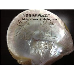 衡阳县贝壳|贝壳|佳禾贝壳表面