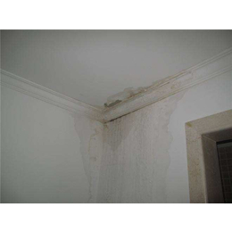  济南修地下室漏水的公司 房屋漏水维修