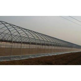 节能日光温室建设-腾达农业技术-节能日光温室