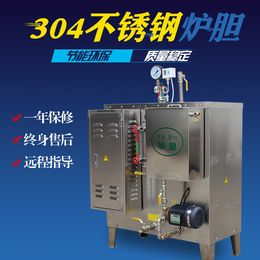 电蒸汽发生器确保饮料加工的清洁度