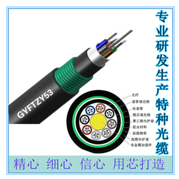 深圳市厂家*GYFTY53非金属双铠双护套光缆缩略图