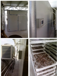 广州德伦新能源科技-鱿鱼热泵烘干设备厂家-浚县烘干设备厂家