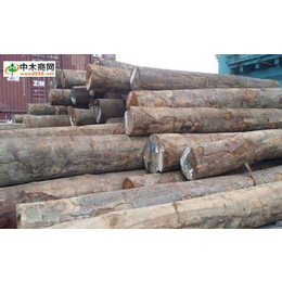 广州木材进口报关公司丨木材进口商检报关代理服务