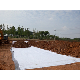 水池膨润土防水毯-唐能-水池膨润土防水毯批发