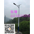 天津太阳能路灯厂家30瓦6米高多少钱一套缩略图1