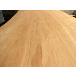 勇新木业板材厂(图)|生态板面皮厂定做|兴安盟生态板面皮厂