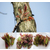 供应河南红香椿种子和树苗 *新产良种价格缩略图1