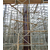 木制圆模板供应商、祥和木制圆模板(在线咨询)、滨州木制圆模板缩略图1