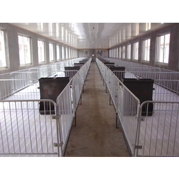 猪保育栏生产厂家(图)、肉猪保育栏、猪保育栏