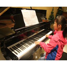 伯牙琴行(图)|短期钢琴培训|双塔街钢琴培训