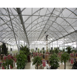 水培蔬菜玻璃温室、卓尔阳光板(在线咨询)、玻璃温室
