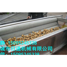 土豆干洗机_毛辊清洗机(在线咨询)_土豆干洗机价格