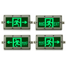 IP65防水标志灯,寿宁疏散指示标志灯,敏华电器(查看)
