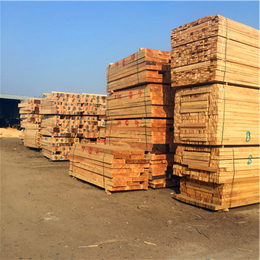 木材加工|日照中林木材|小型木材加工