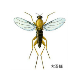 蚊蝇杀虫药厂家*、邢台蚊蝇杀虫药、 天敌消杀低价走量