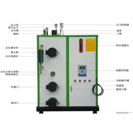 蒸汽发生器店铺、翔能锅炉(在线咨询)、昭通蒸汽发生器