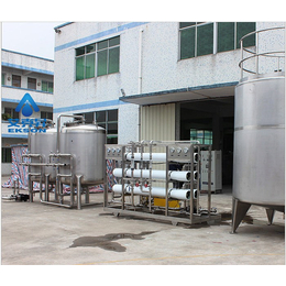 二级ro纯化水设备_艾克昇(在线咨询)_纯化水设备