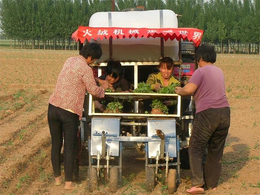 钵苗蔬菜栽植机生产厂-商洛蔬菜栽植机-火绒蔬菜苗种菜机械
