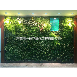 客厅植物墙承包-东莞客厅植物墙-东莞市一枝花绿化