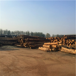 木材加工,中林木材,木材加工厂家